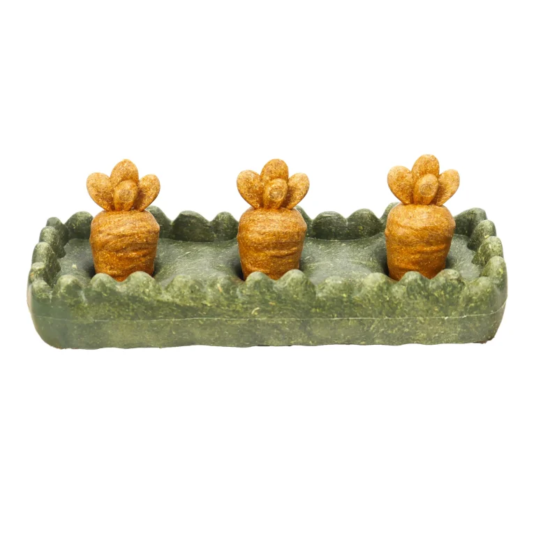 Grass Patch & Carrots Edible Chew Toy Set for Rabbits and Small Rodents