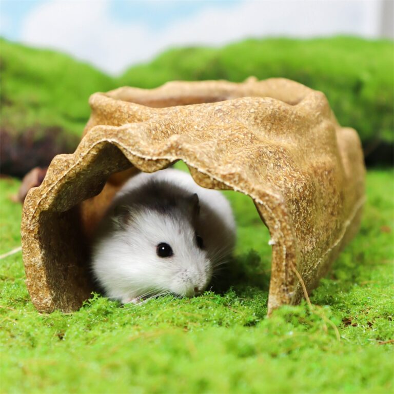 Beyond Plastic: The Edible Hideout, A Safe Haven Your Small Pet Can Actually Eat
