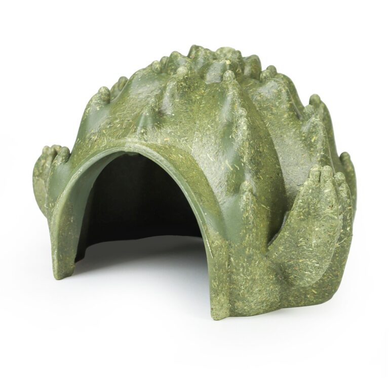 Cactus small animal hideout house chew hut