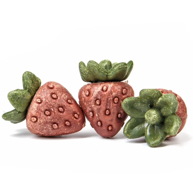 Small animal nibble strawberries chew toy
