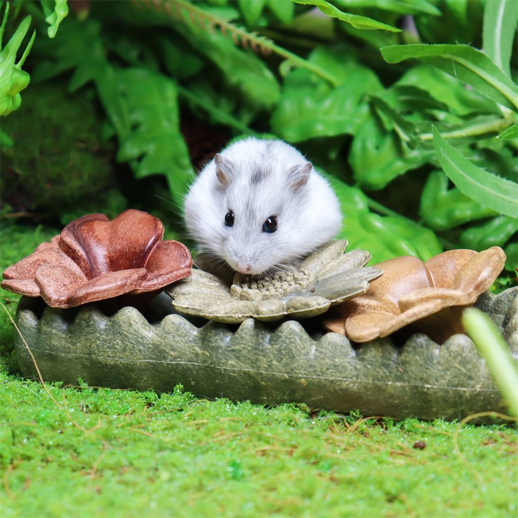 A small animal enjoying the flower chew toy