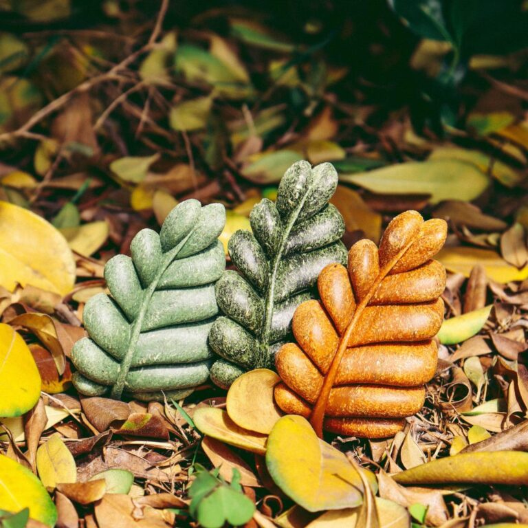 Unlock Nature’s Design: Why Nibble Leaves Are the Essential Enrichment for Small Pets