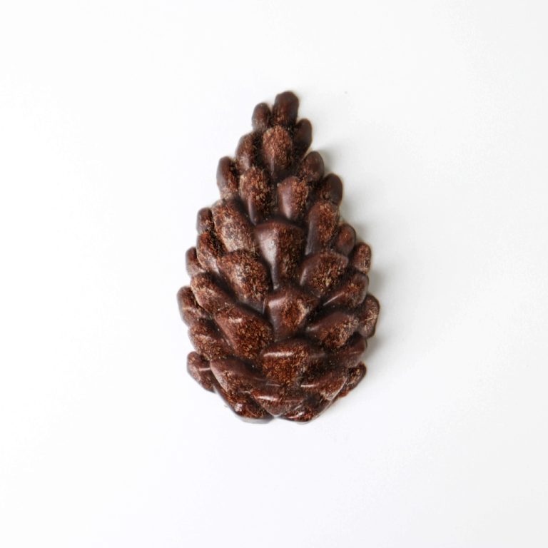 Pinecones Edible Small Animal Chew Toy Teeth Grinder Boredom Breaker