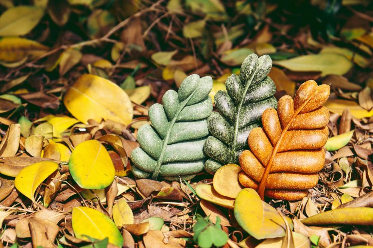 100% Edible Nibble Leaves: Opt for Small Animal’s Chewing Fun