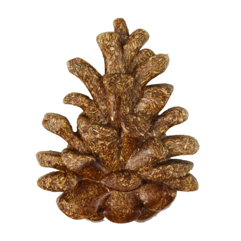 Pine Cone Bunny Chew Toy Hamster Gnaw Rat & Gerbil Enrichment