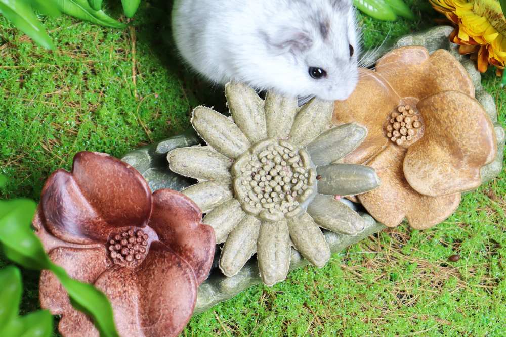 Grass Patch and Flowers Chew Toy Set for Small Animals
