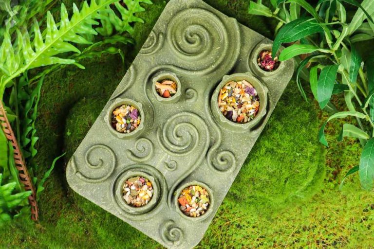Smart Feeding: Puzzle Feeders for Small Animal Enrichment