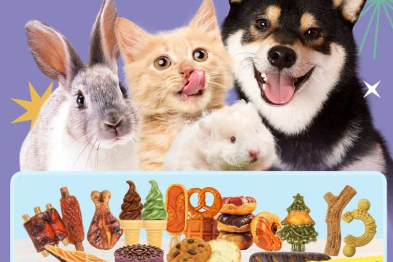 TEEWY August 2025 Pet Expo Preview – Meet Us in Brazil, USA and China!