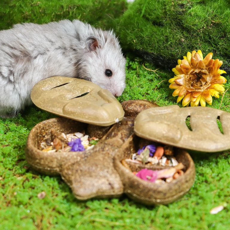 Edible Feeders: Transforming Cute Accessories into Essential Enrichment for Small Pets