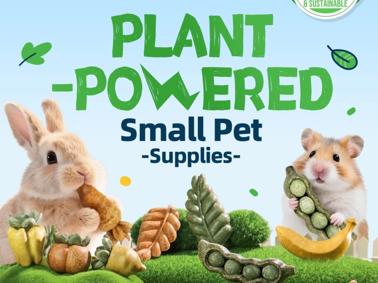 Teewy 100% Edible Chew Toys: Natural Ingredients & Health Benefits